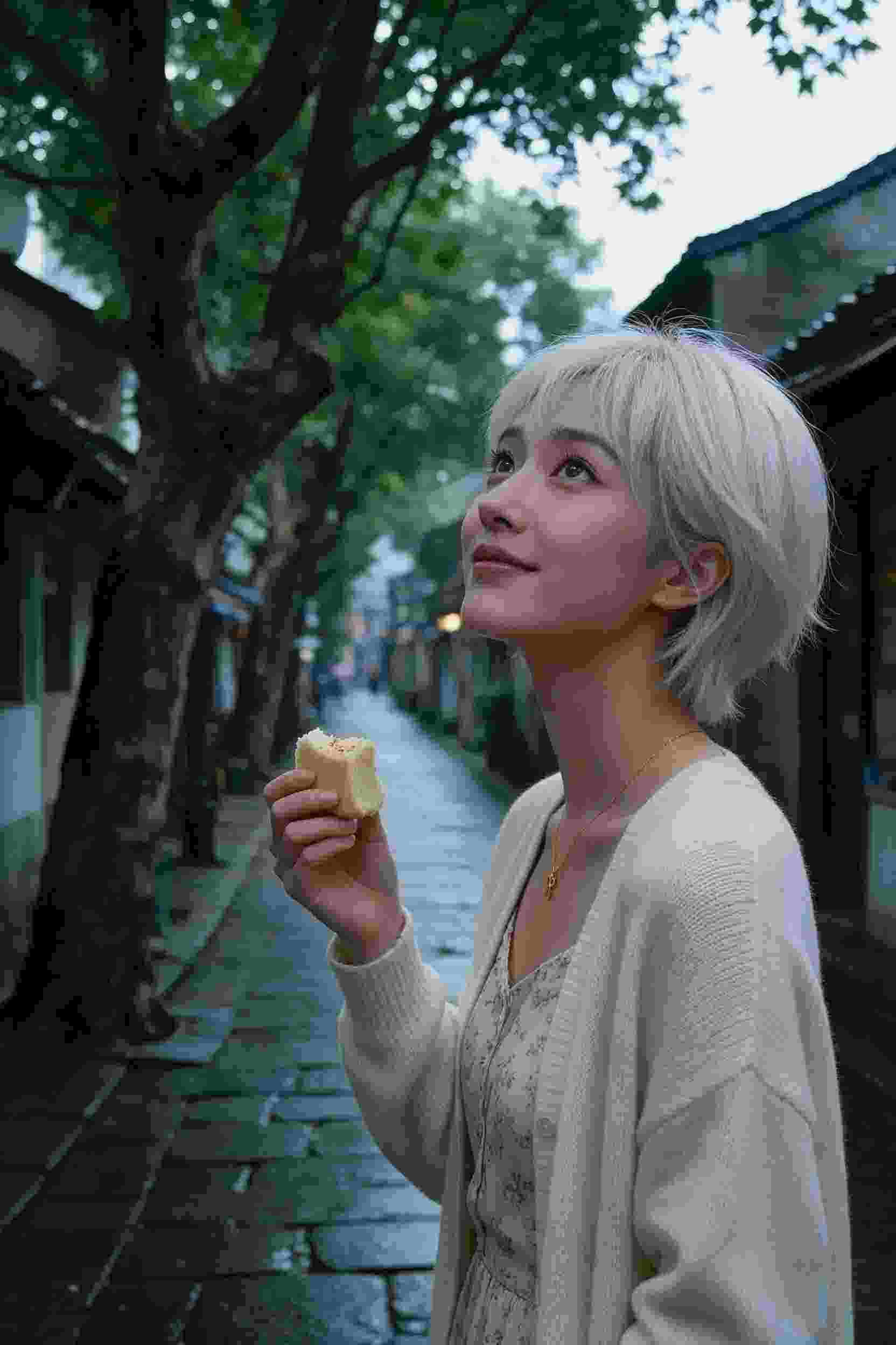 月光下的异想世界